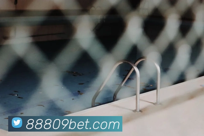 bet365com平台生态图
