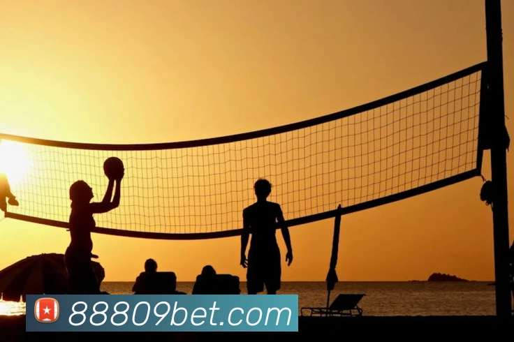 bet365comAPP 封面图